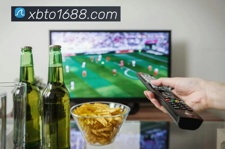 XBTO官网发展历程